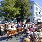 Laerchenlodge * Radstadt