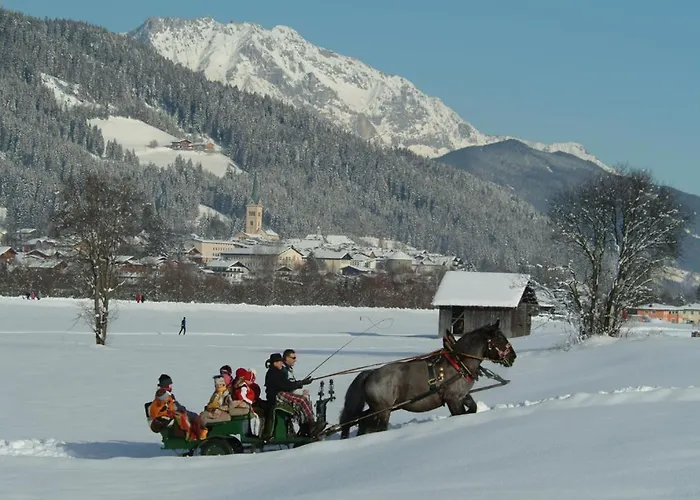 Laerchenlodge Radstadt