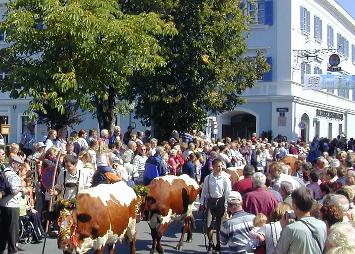 Laerchenlodge * Radstadt