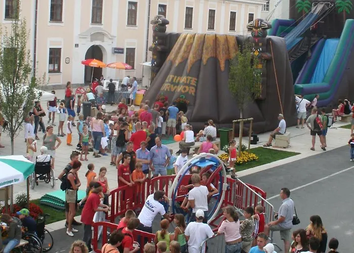 Laerchenlodge * Radstadt